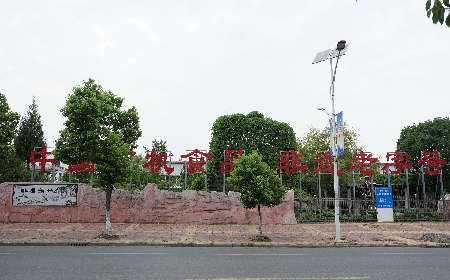 當(dāng)定制葛粉時(shí)，我們真正在選擇什么？