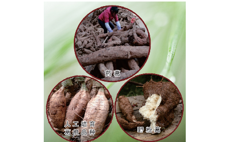 買葛粉是買野生的好？還是野生有機(jī)的好？
